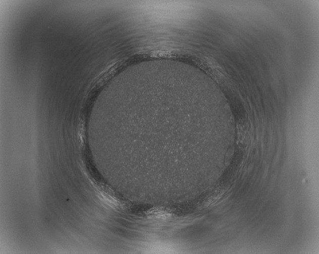 X0000072510648200607290133