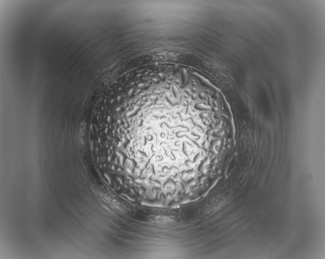 X0000072510649200607290133