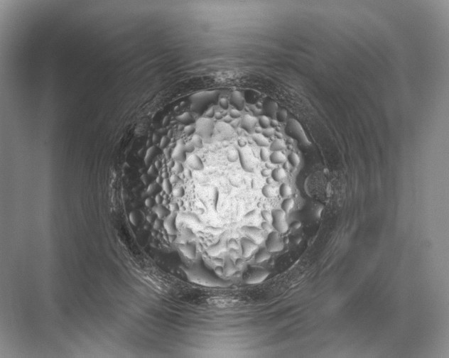 X0000072510650200607290133