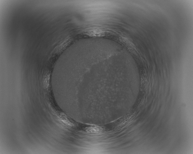 X0000072510652200607290133