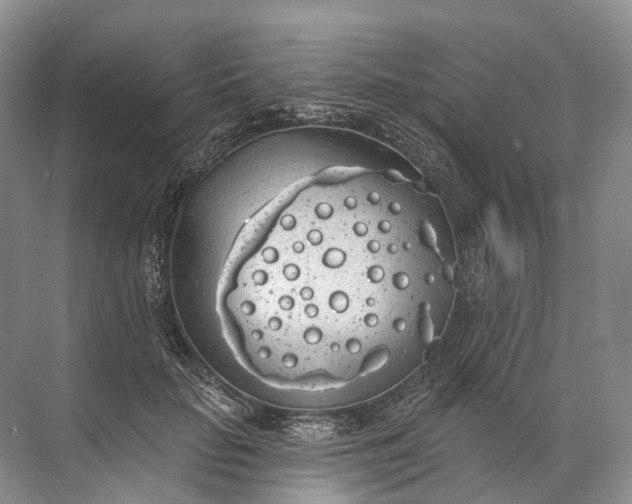 X0000072510653200607290133