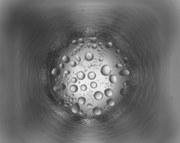 X0000072510654200607290133