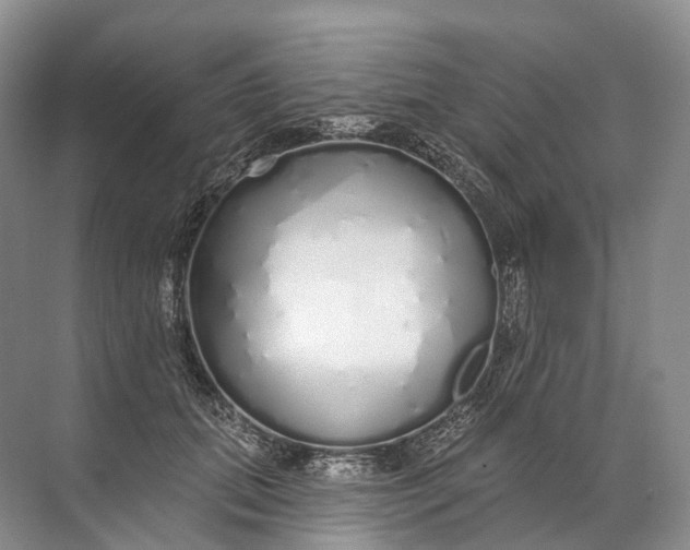 X0000072510655200607290134