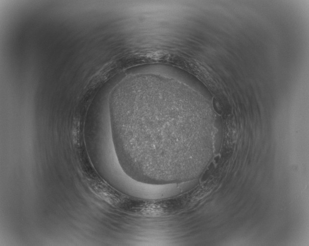 X0000072510656200607290134