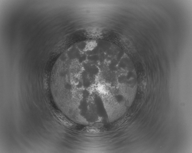 X0000072510658200607290134