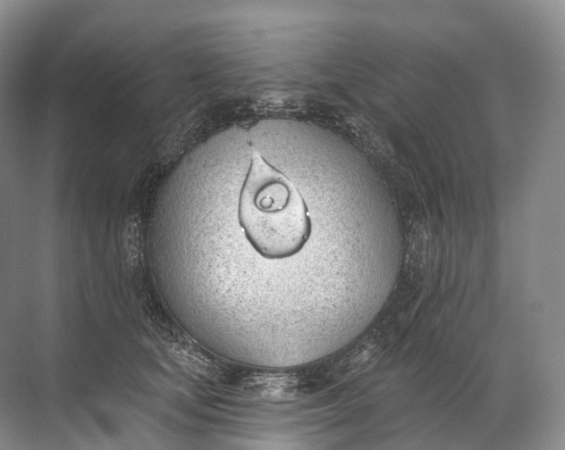 X0000072510659200607290134