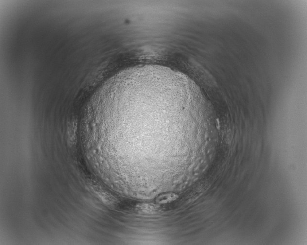 X0000072510660200607290134