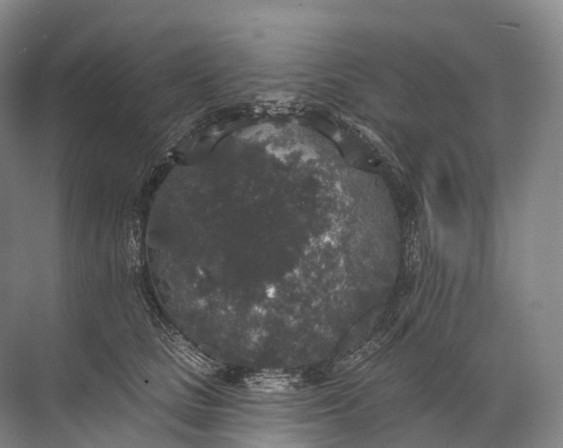 X0000072510661200607290134