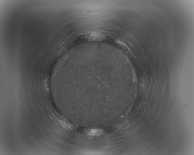 X0000072510663200607290134