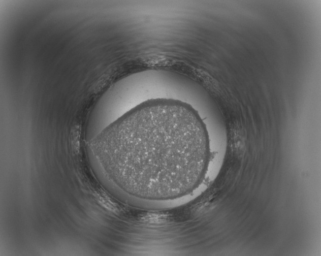 X0000072510664200607290134