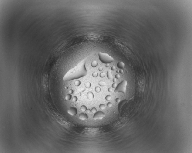 X0000072510665200607290134