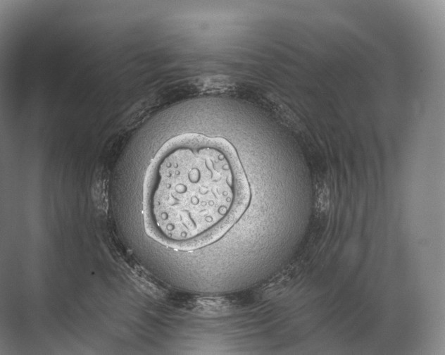 X0000072510666200607290134