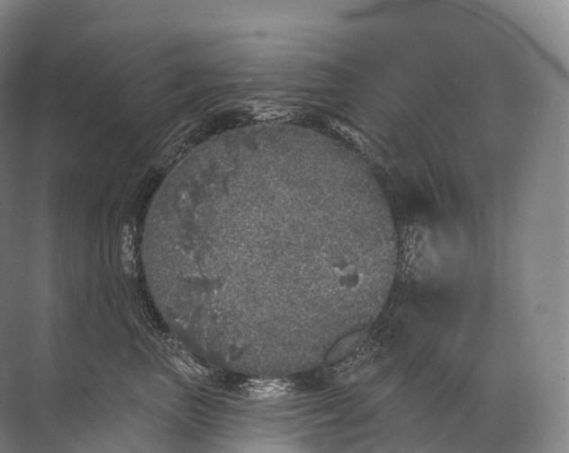 X0000072510667200607290134