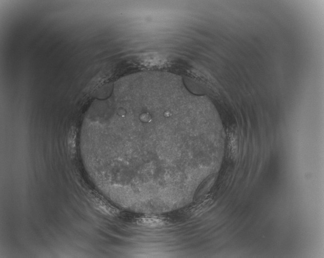 X0000072510668200607290134