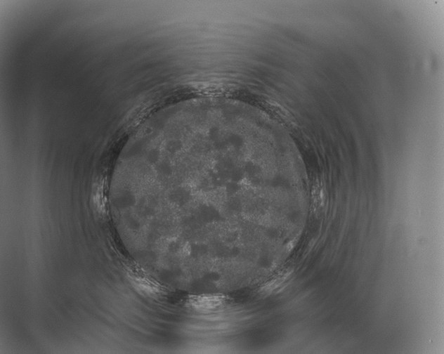 X0000072510671200607290134