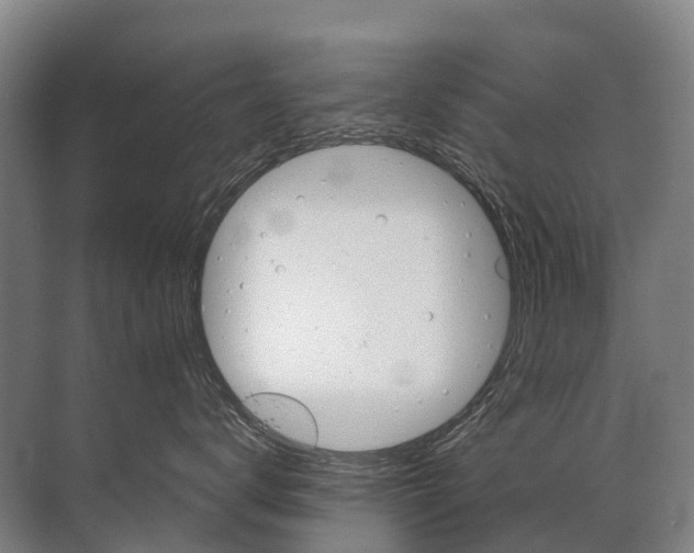 X0000072510672200607290134