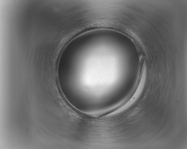 X0000072510673200607290133