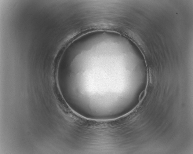 X0000072510675200607290133