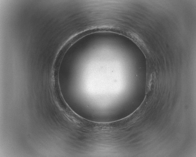 X0000072510676200607290133