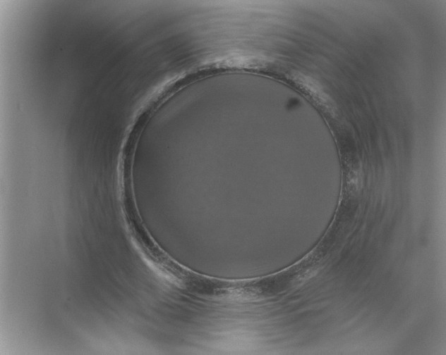 X0000072510678200607290133