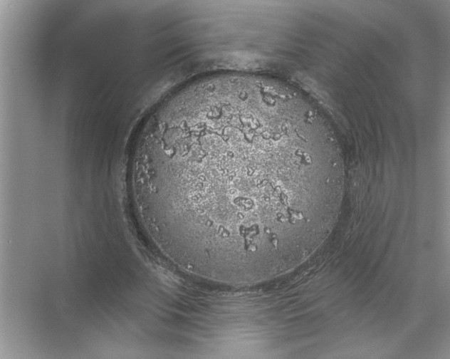 X0000072510679200607290133