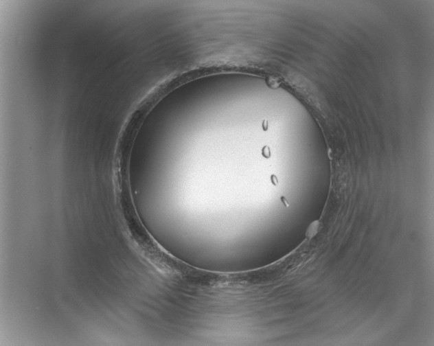 X0000072510680200607290133