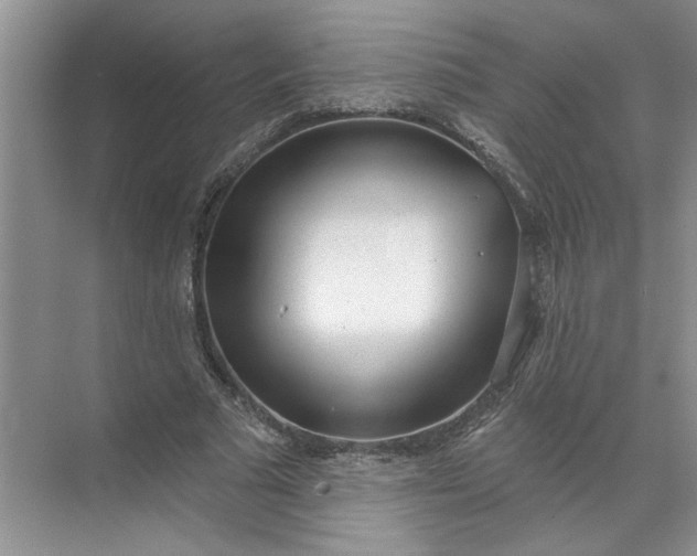 X0000072510681200607290133