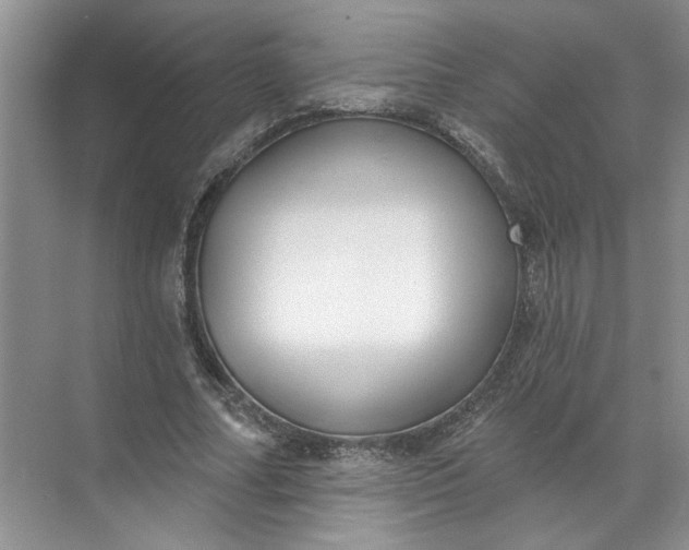 X0000072510682200607290133