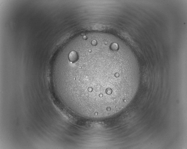 X0000072510683200607290133