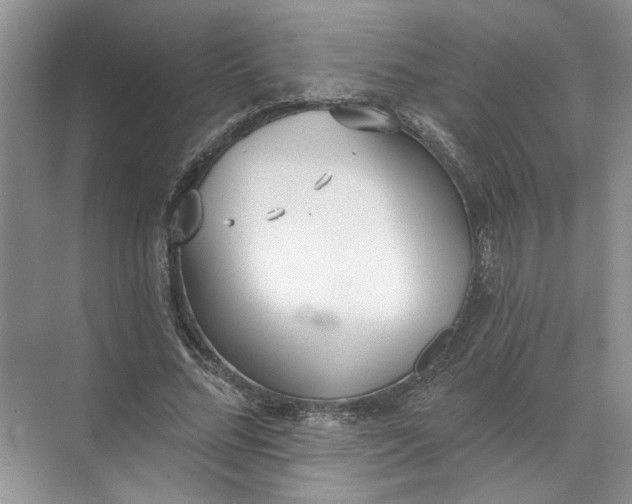 X0000072510684200607290133