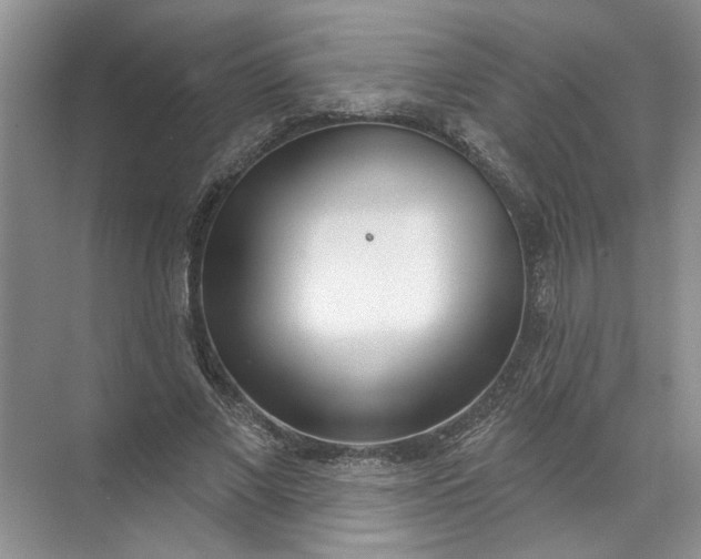 X0000072510685200607290133