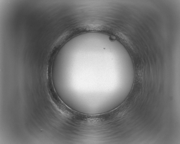 X0000072510686200607290133