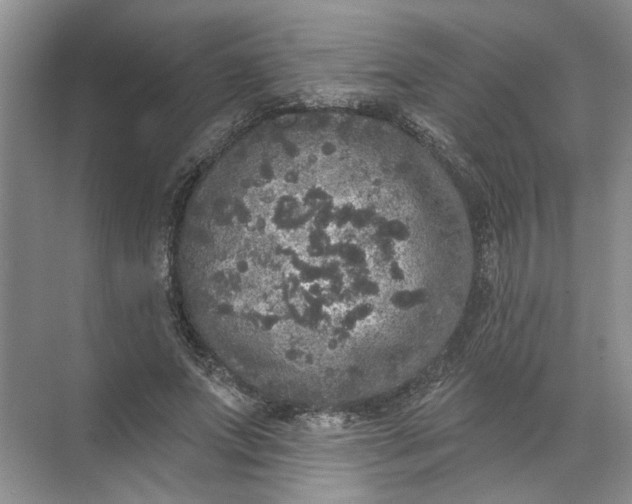 X0000072510687200607290133