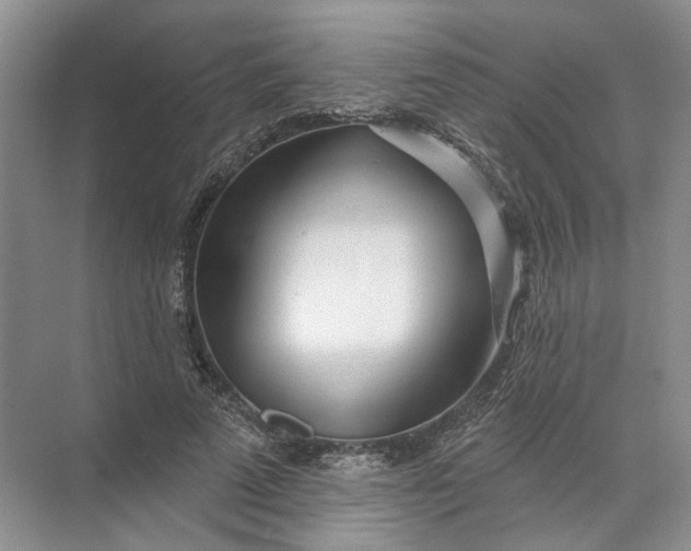 X0000072510689200607290133