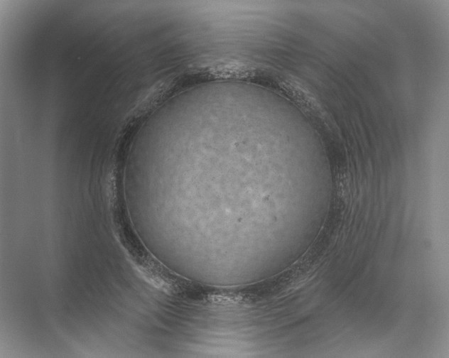 X0000072510690200607290133