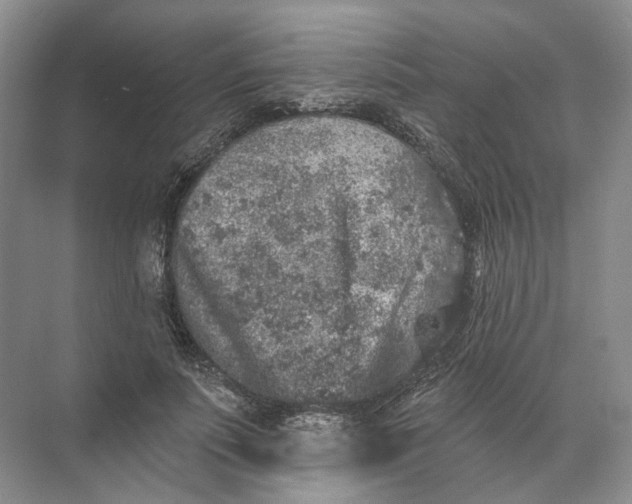 X0000072510691200607290133