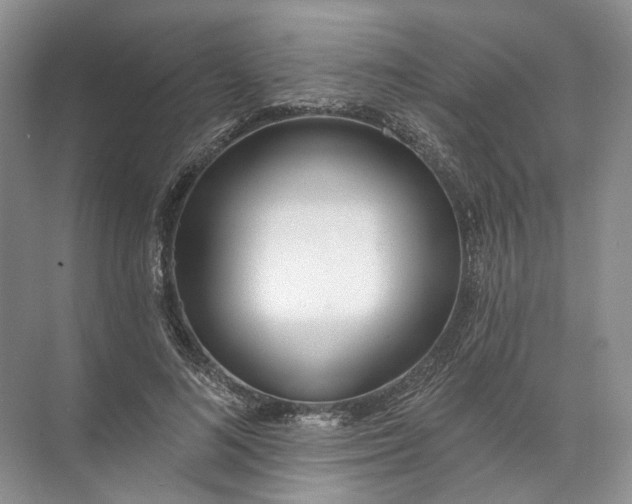 X0000072510692200607290133