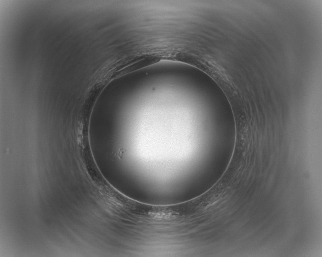 X0000072510693200607290133