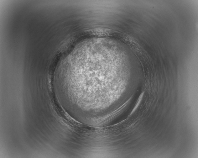 X0000072510696200607290133