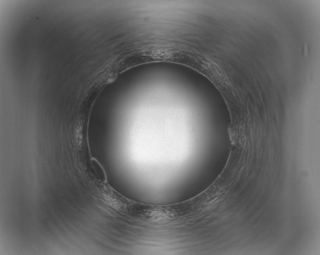 X0000072510697200607290133