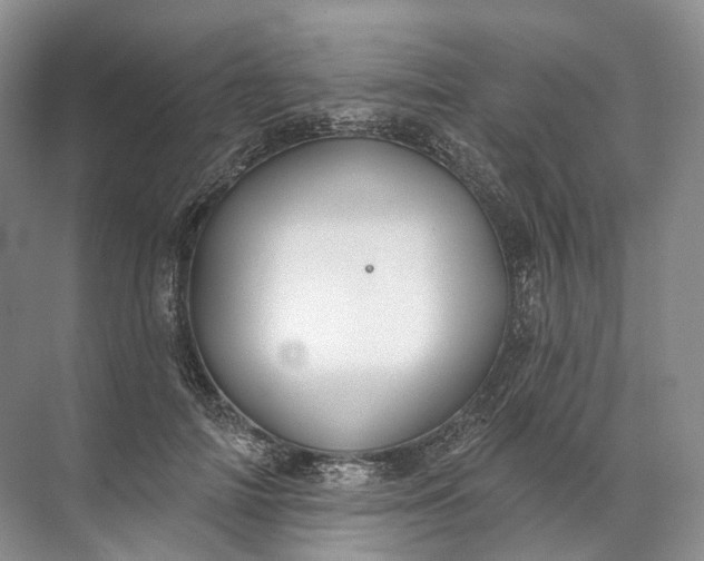 X0000072510698200607290133