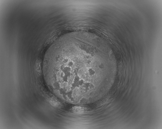 X0000072510699200607290133