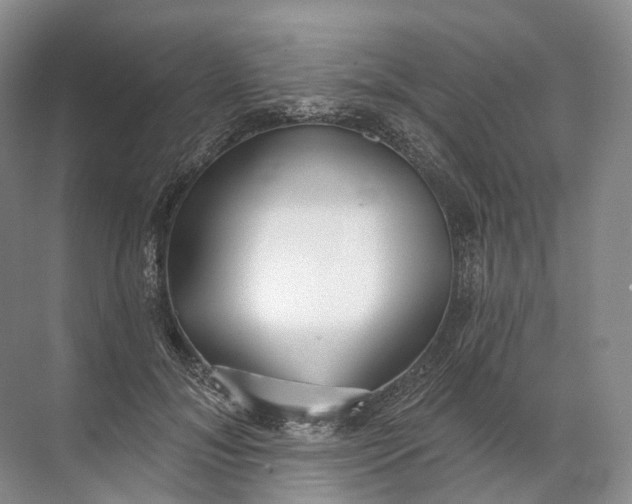 X0000072510700200607290133