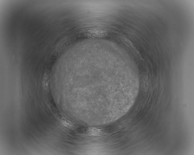 X0000072510701200607290133