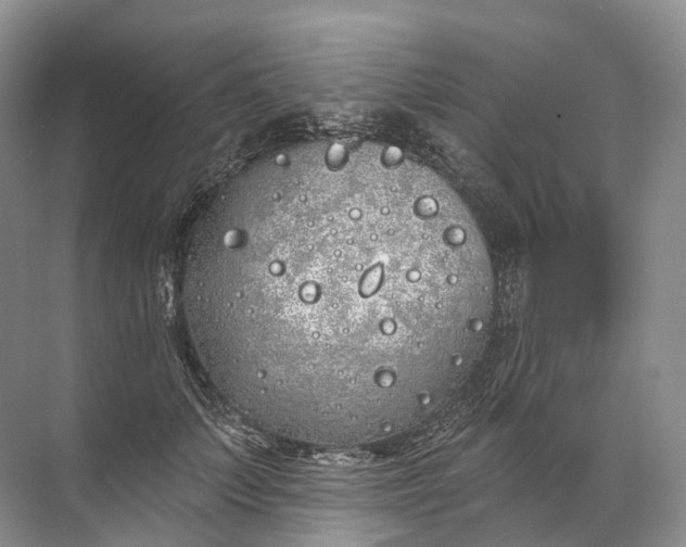 X0000072510703200607290132