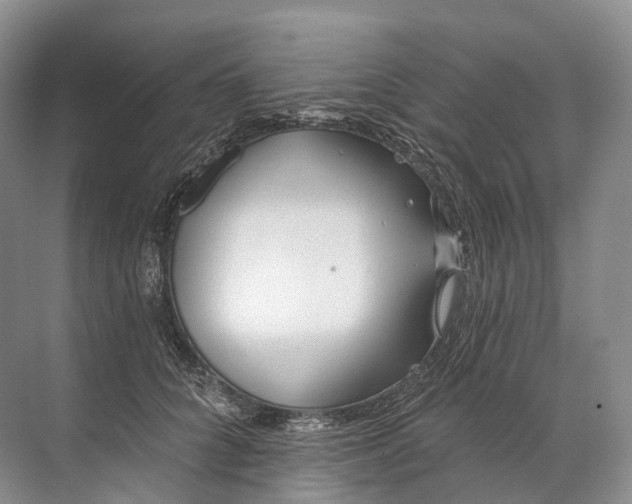 X0000072510704200607290132