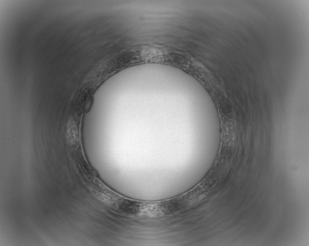 X0000072510705200607290132