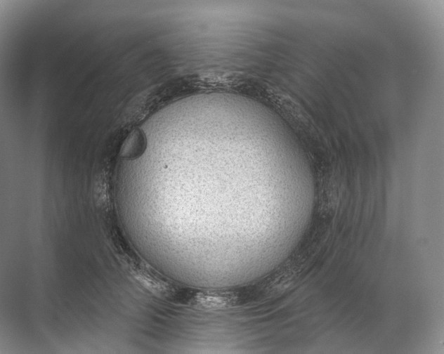 X0000072510706200607290132