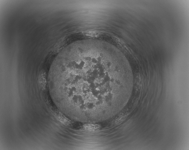 X0000072510707200607290132