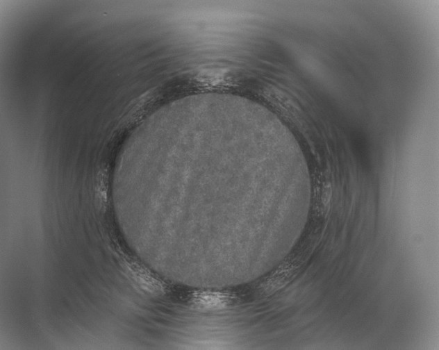 X0000072510710200607290132